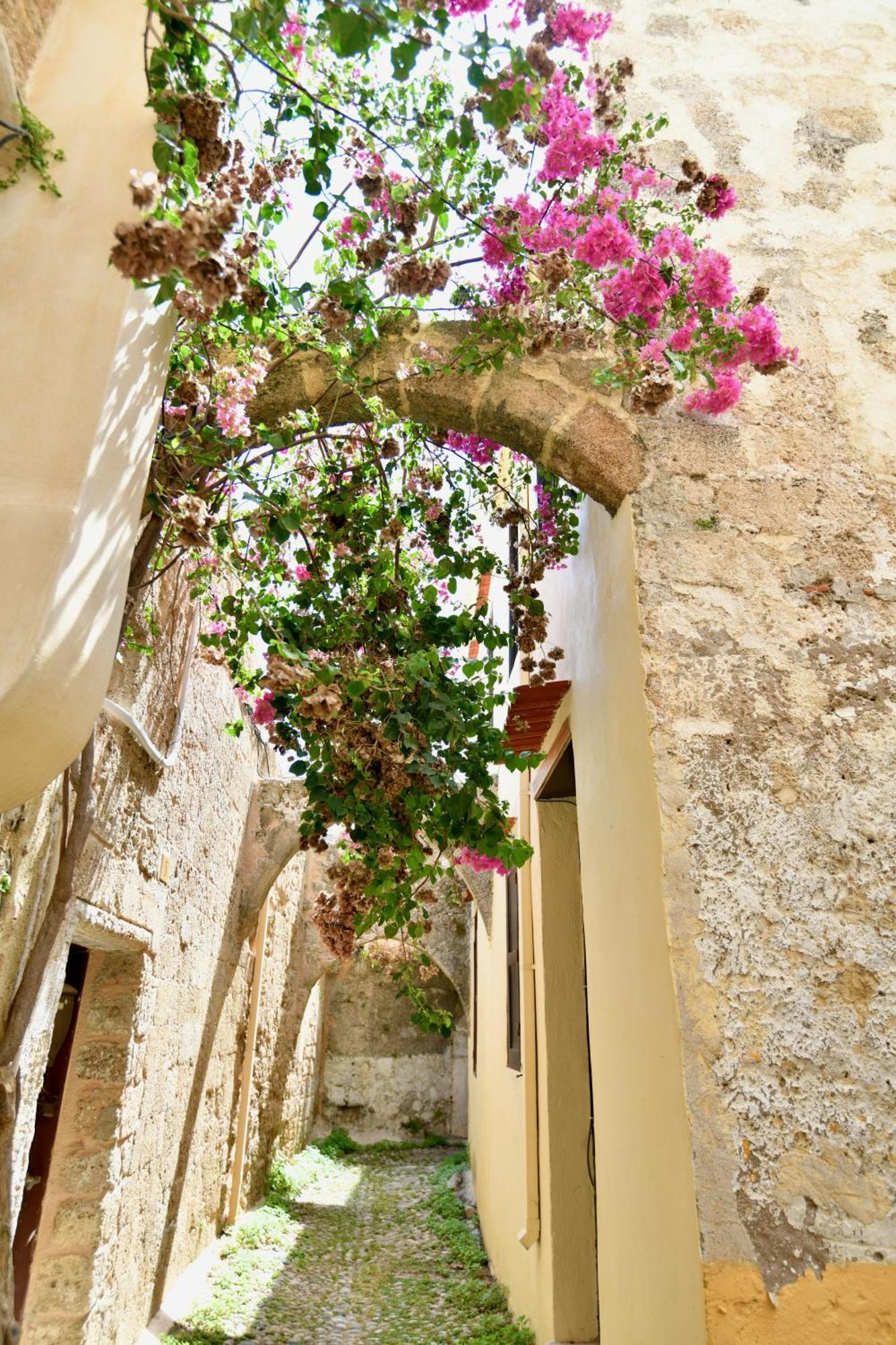 Апартаменти Penelope Garden House Old Town Rhodes City Екстер'єр фото