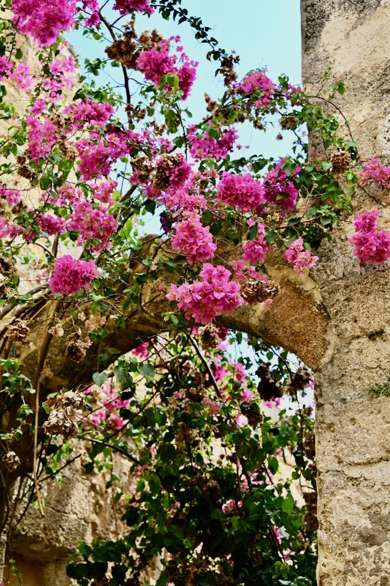Апартаменти Penelope Garden House Old Town Rhodes City Екстер'єр фото