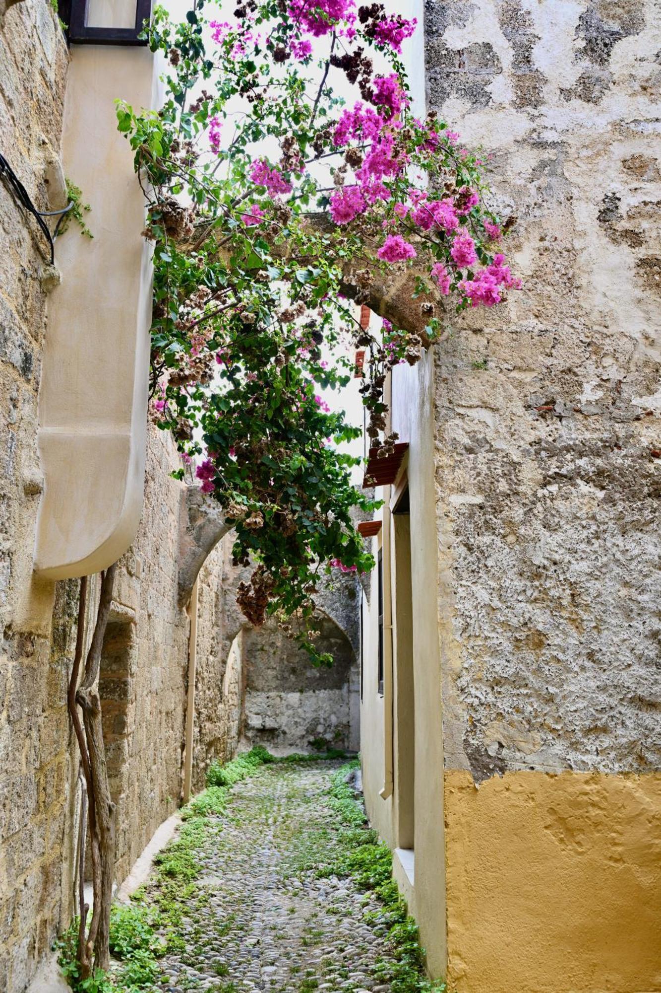Апартаменти Penelope Garden House Old Town Rhodes City Екстер'єр фото